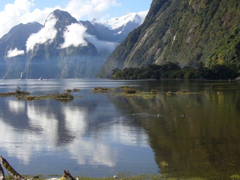 Travel - New Zealand - Milford Sounds
